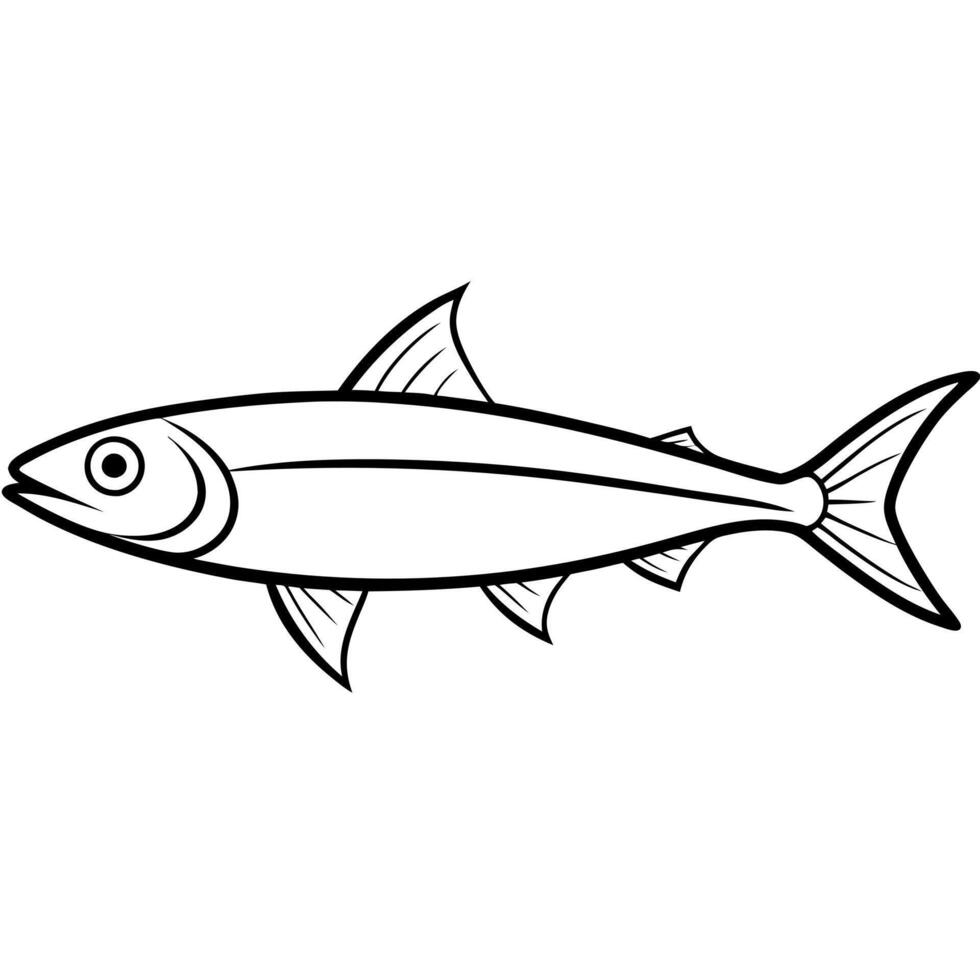 , anchovy fish image, illustration line art vector