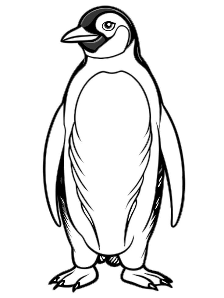 an emperor penguin, illustration line art vector