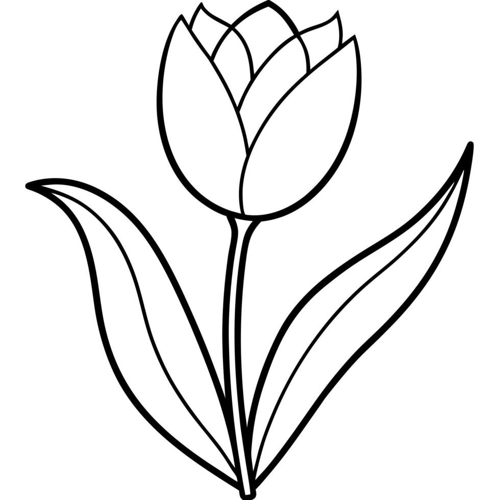 tulip, illustration line art vector