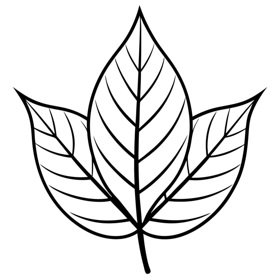 leaf black and white, illustration line art vector