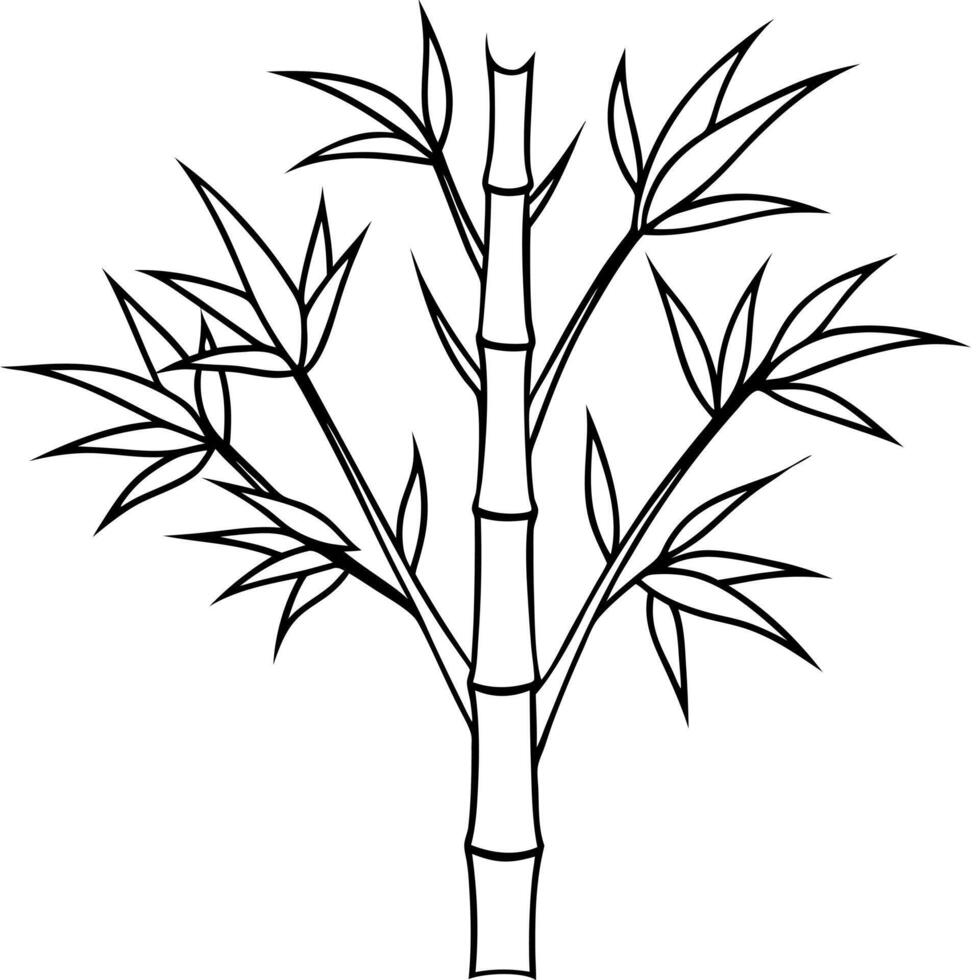 a bamboo tree, illustration line art vector