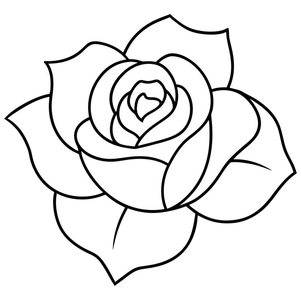 rosa simples, illustration line art vector
