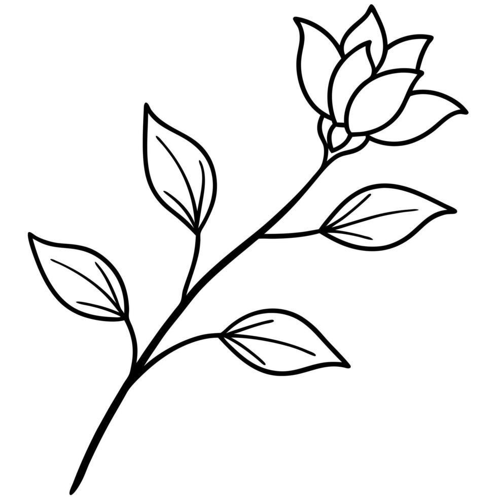 flower branch line art, illustration line art vector