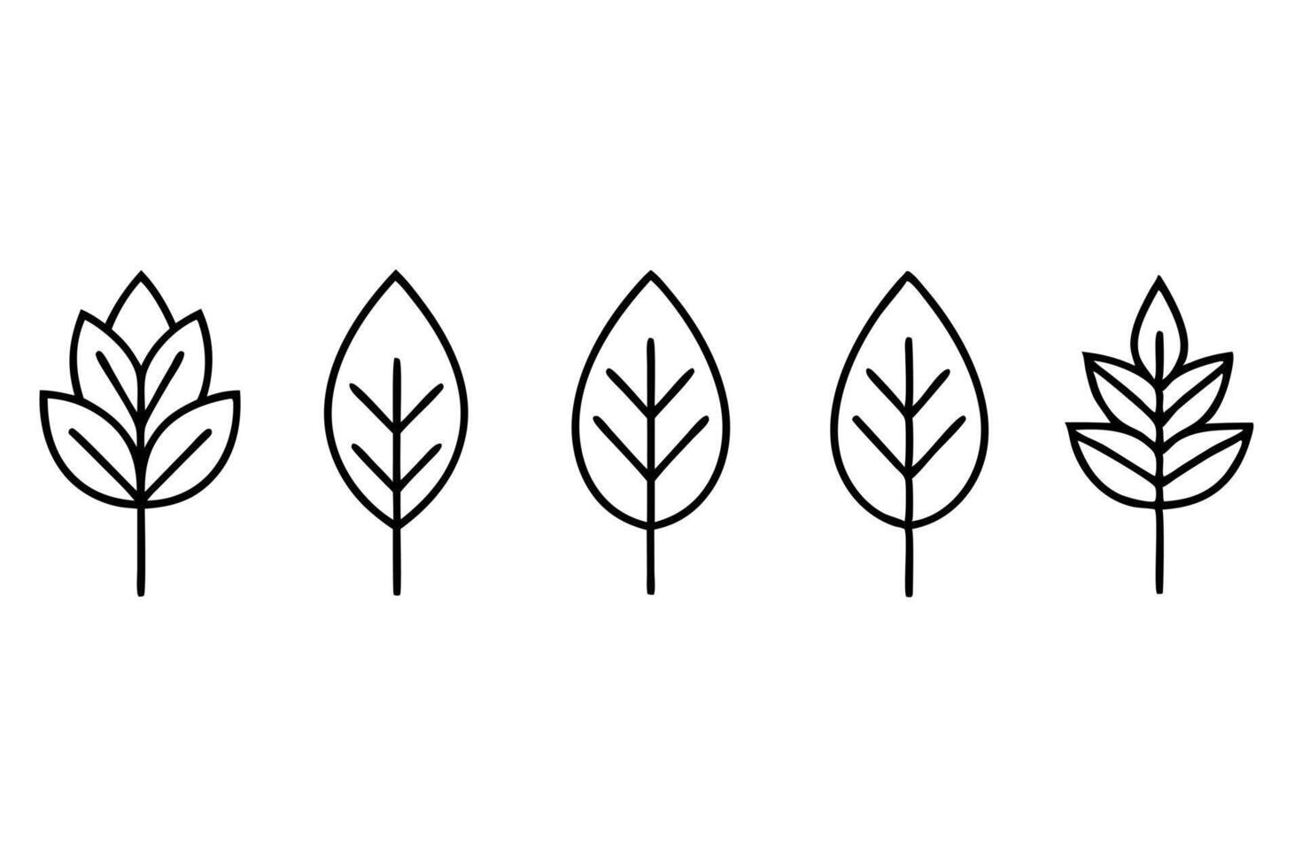 a illustration of a set of logotype icons with tree leaf silhouettes there are six icons, vector