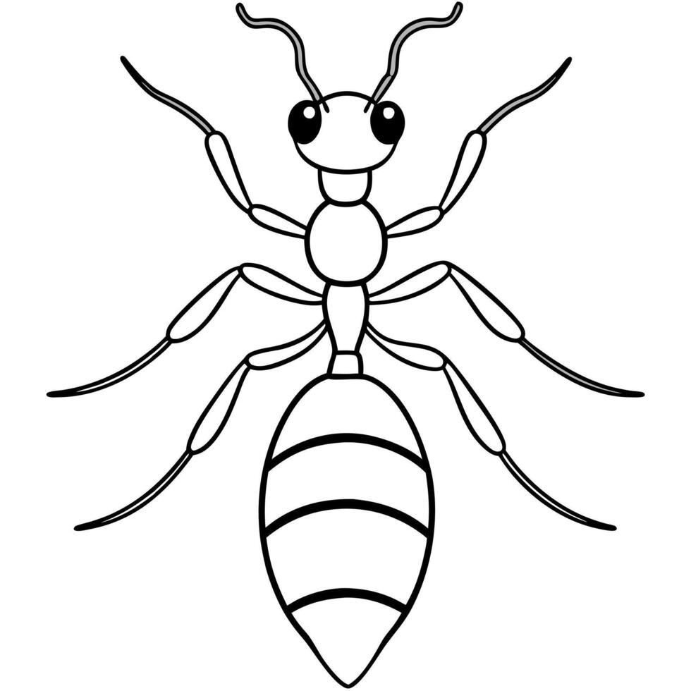 ant, illustration line art vector