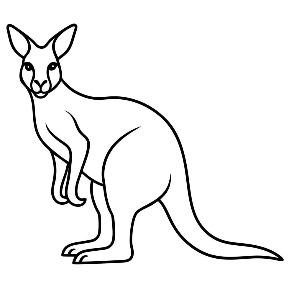 kangaroo line art, illustration line art vector