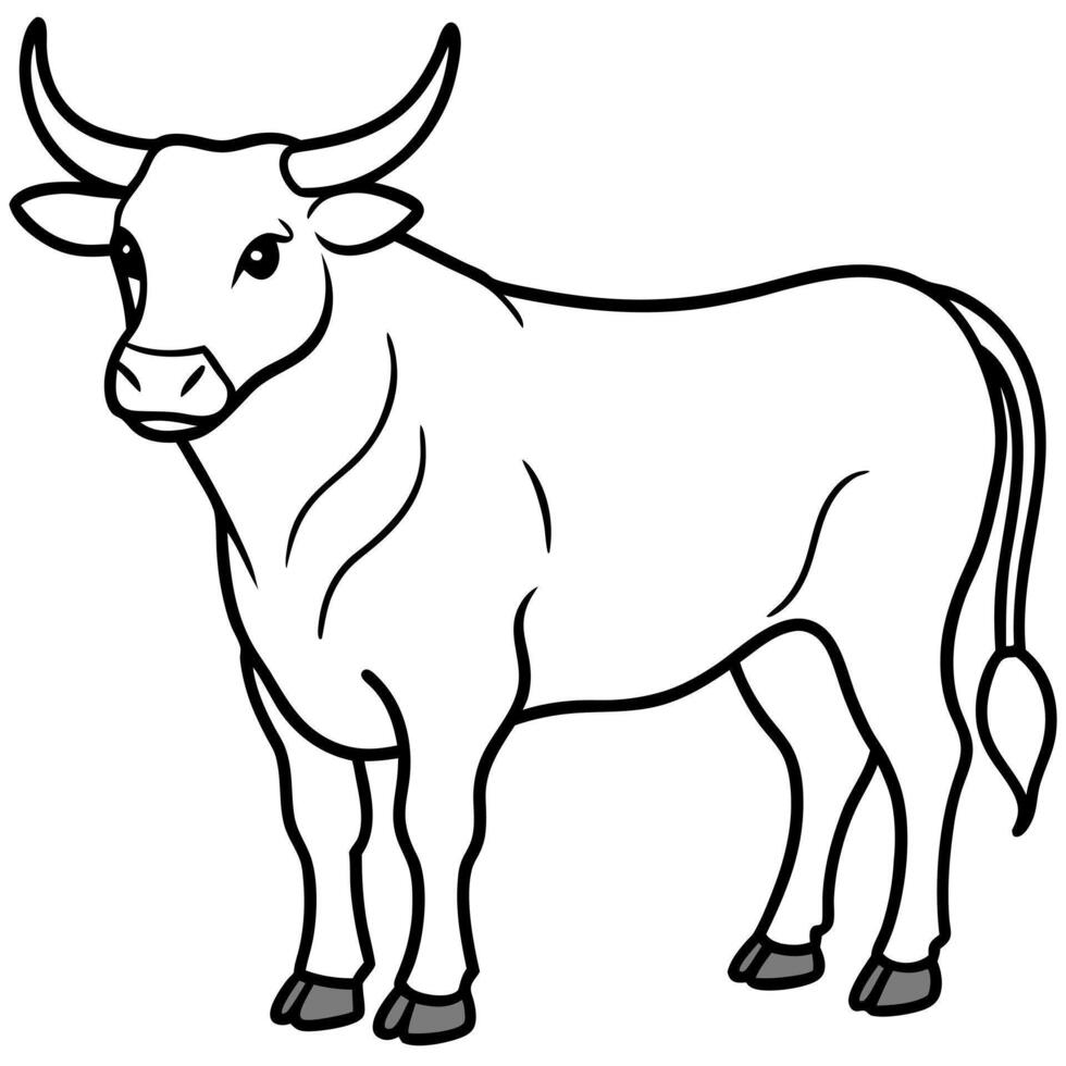 bull, illustration line art vector