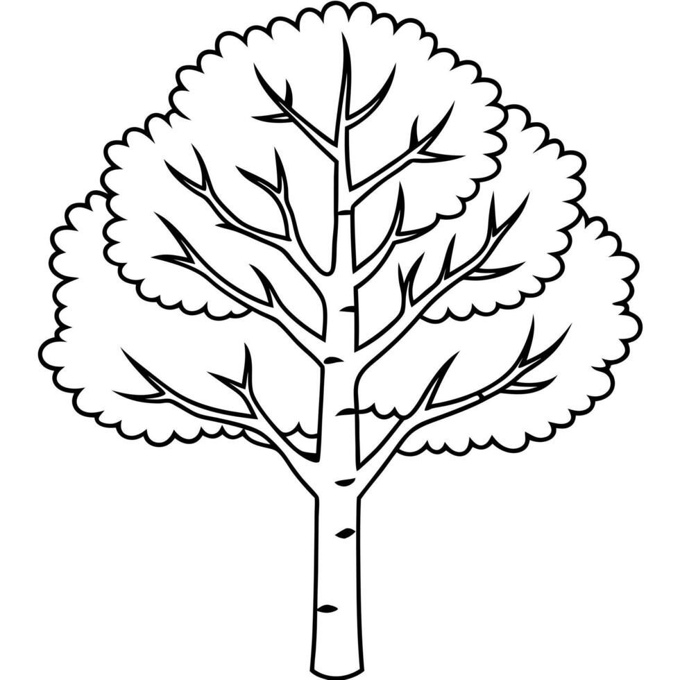 , aspen tree image, illustration line art vector