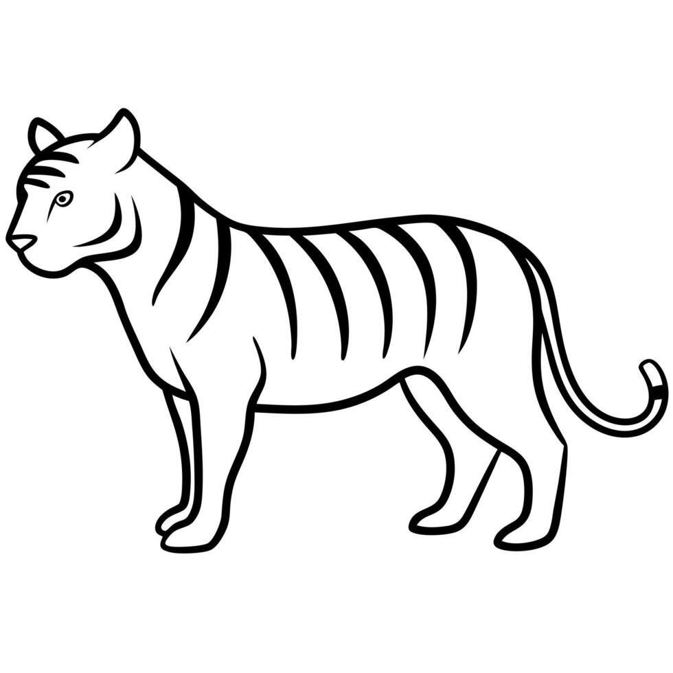 tiger silhouette with white background, illustration line art vector