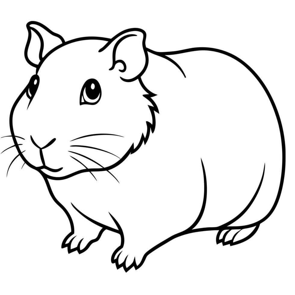 guinea pig, illustration line art vector
