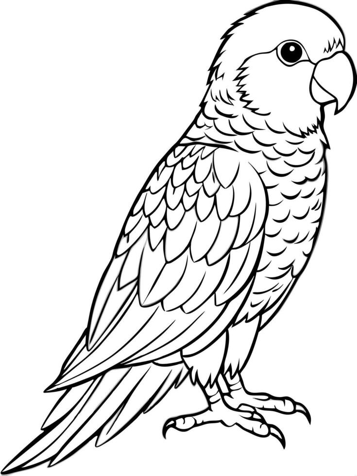 a parakeet, illustration line art vector