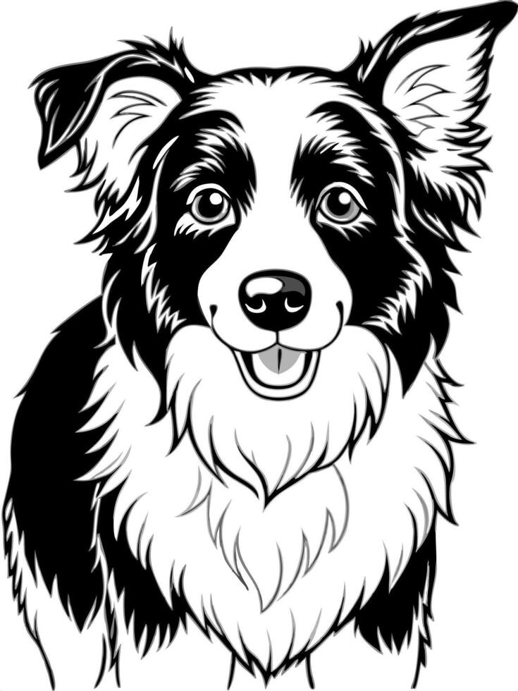 a border collie puppy, illustration line art vector