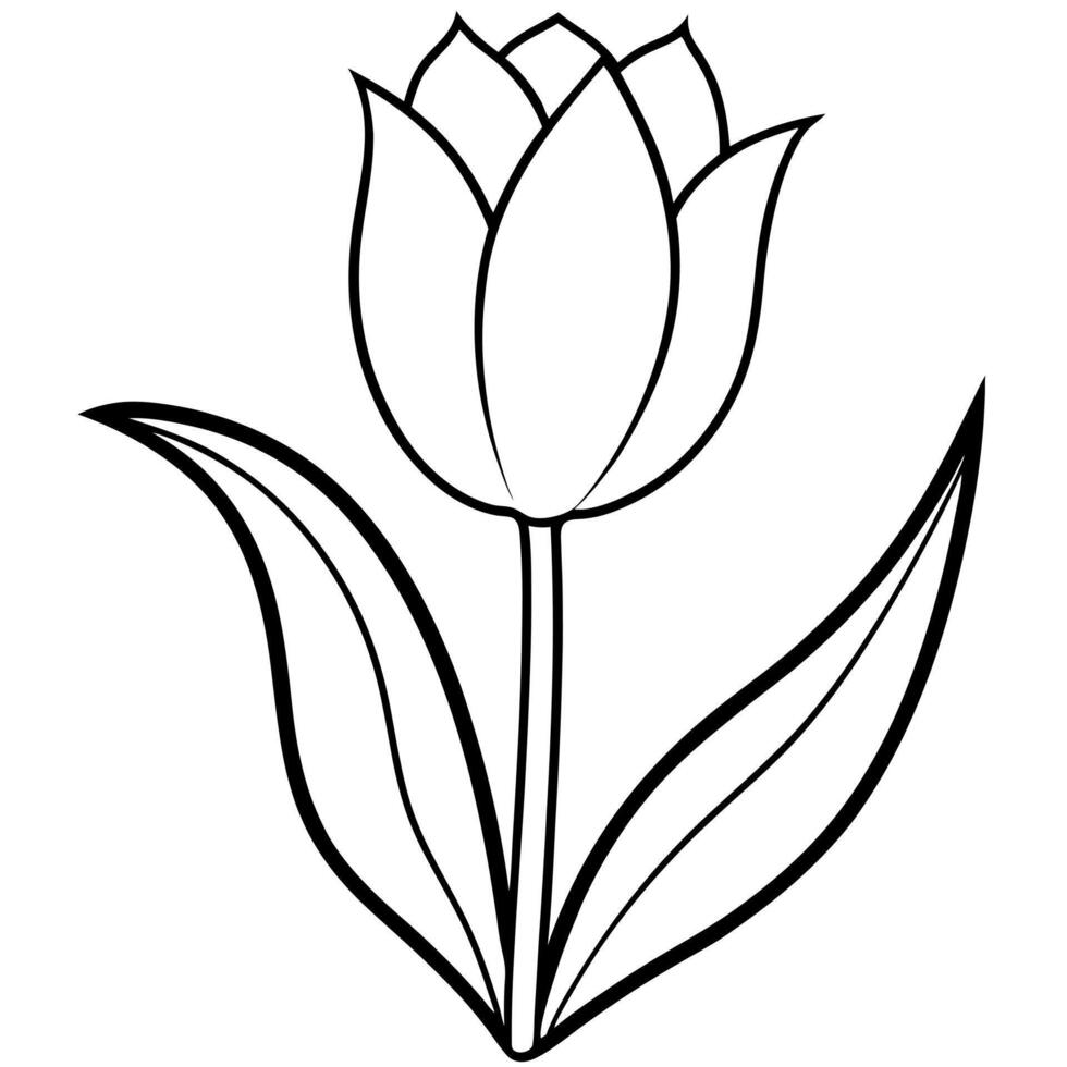pastel tulip design for backgrounds, illustration line art vector