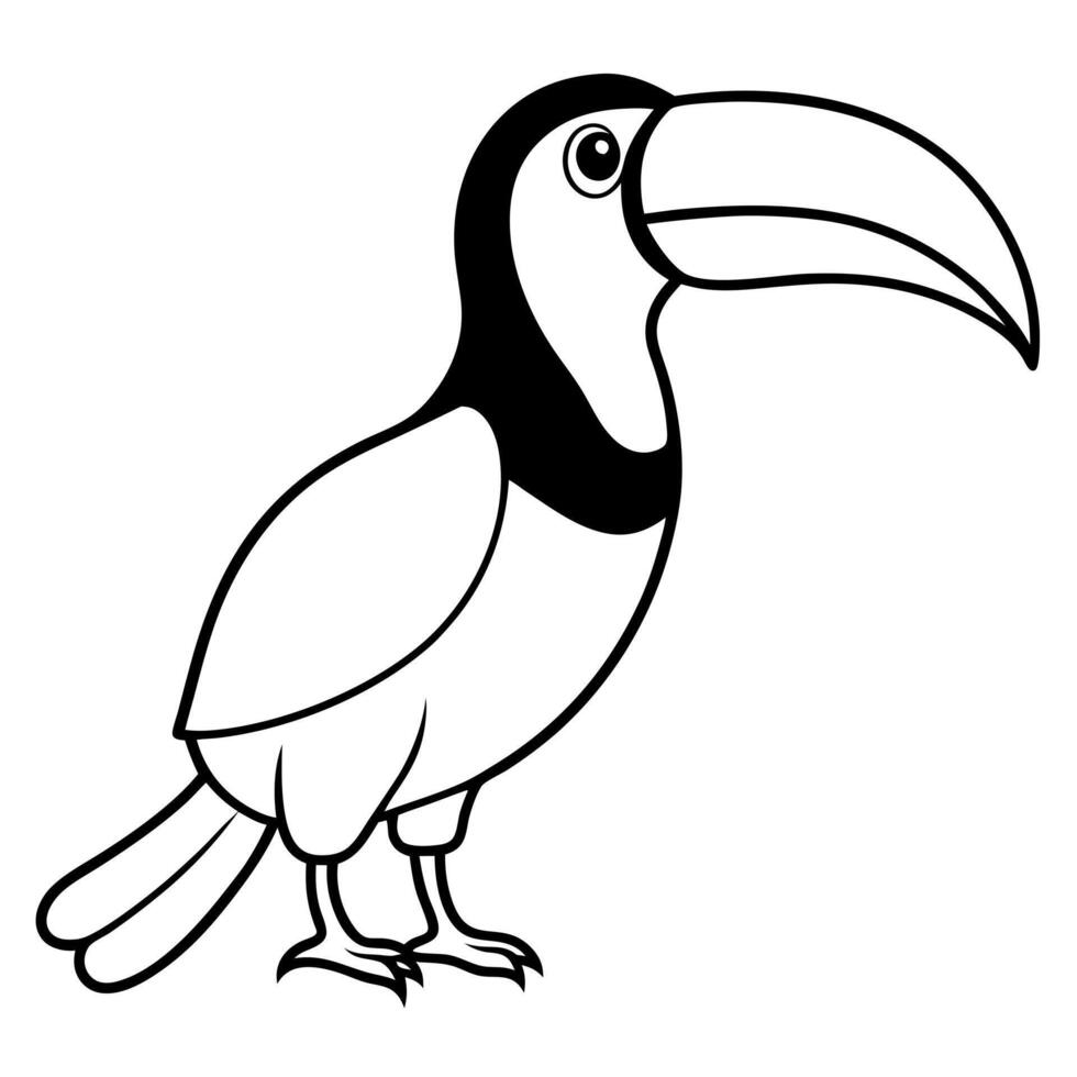 a toucans, illustration line art vector