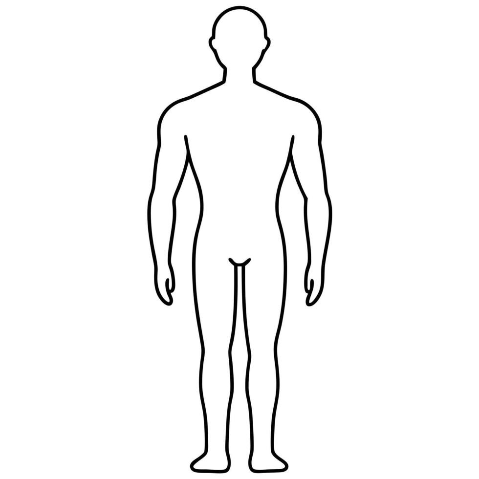 simple gender-neutral human body outline viewed from the back, illustration line art vector