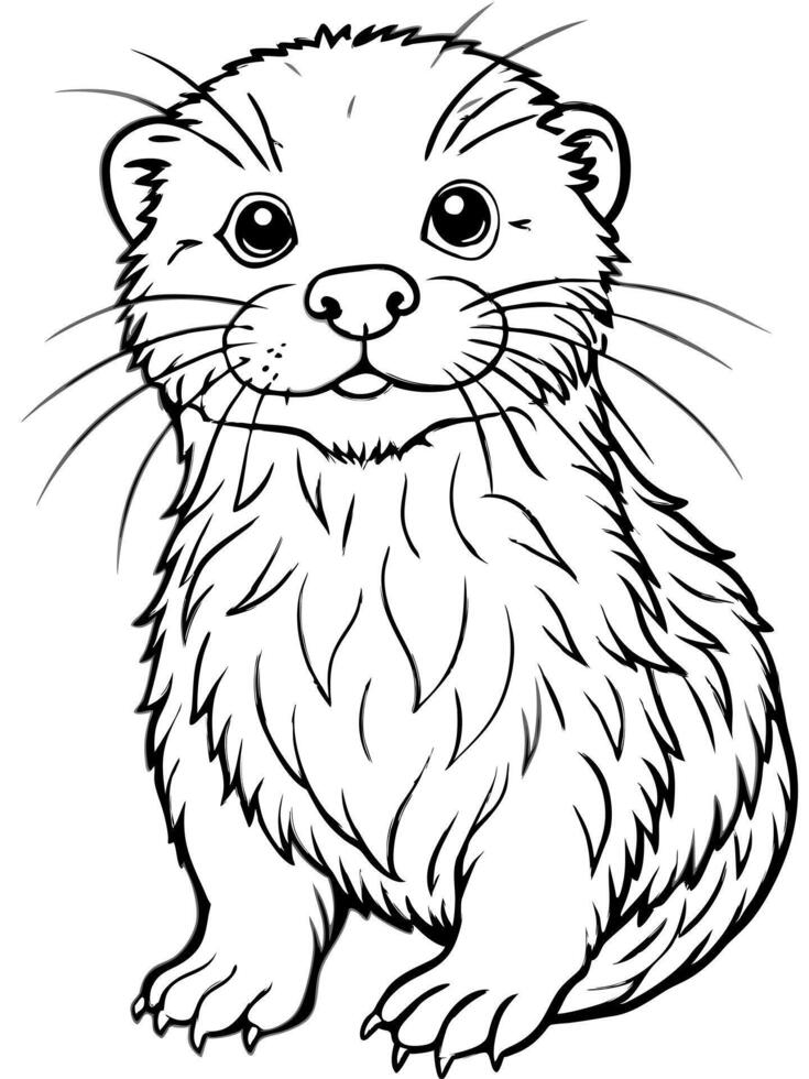 a baby sea otter, illustration line art vector