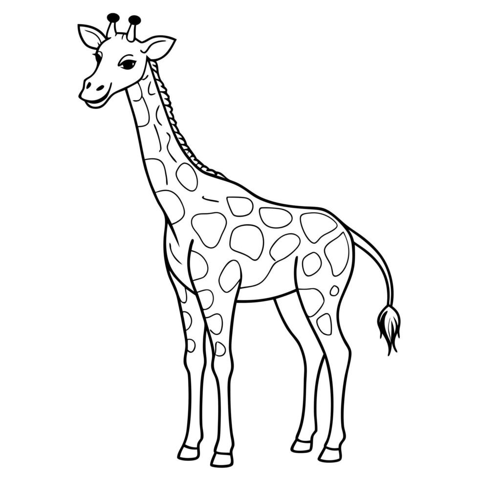 giraffe, illustration line art vector
