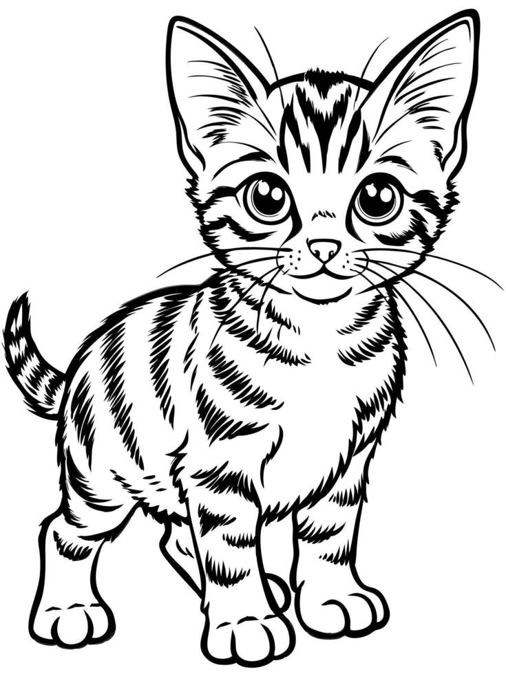 a havana brown kitten, illustration line art vector