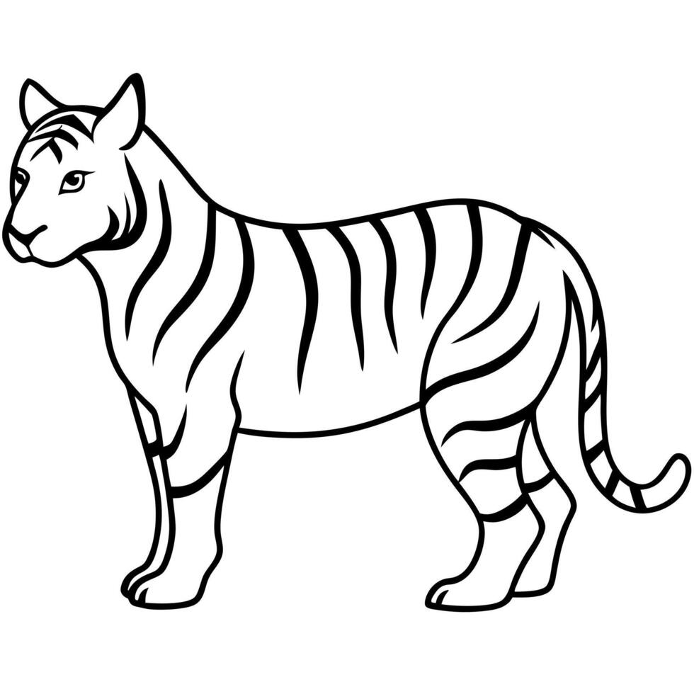 tiger silhouette with white background, illustration line art vector