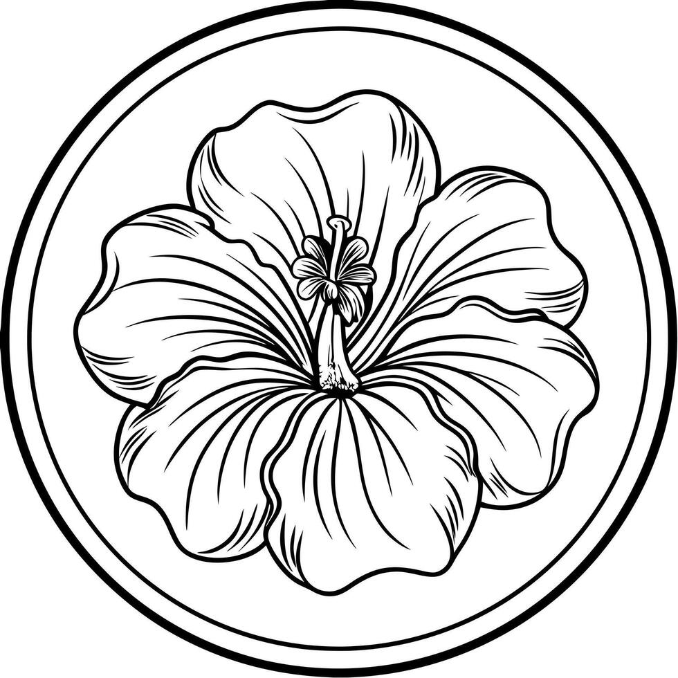 only hibiscus flower fills the space on a coin, illustration line art vector