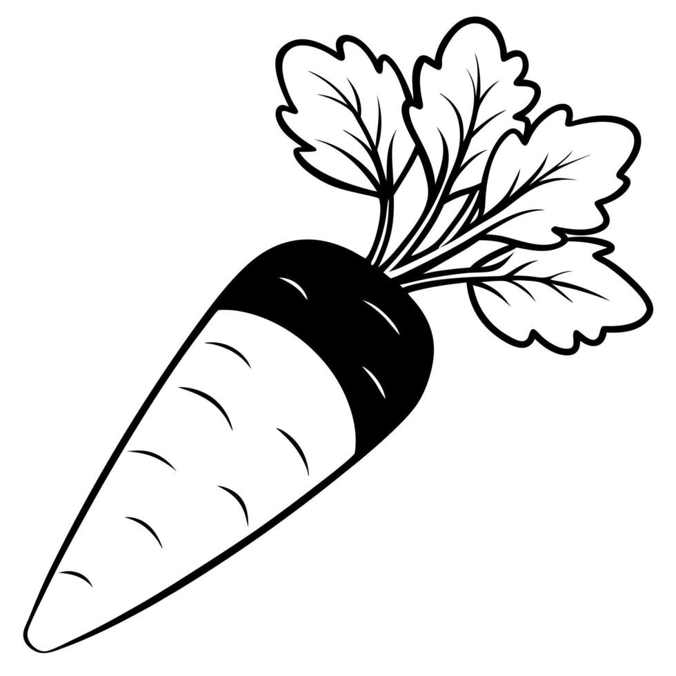 carrot, illustration line art vector