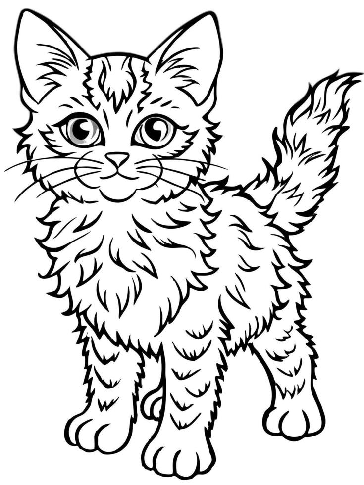 a laperm kitten, illustration line art vector
