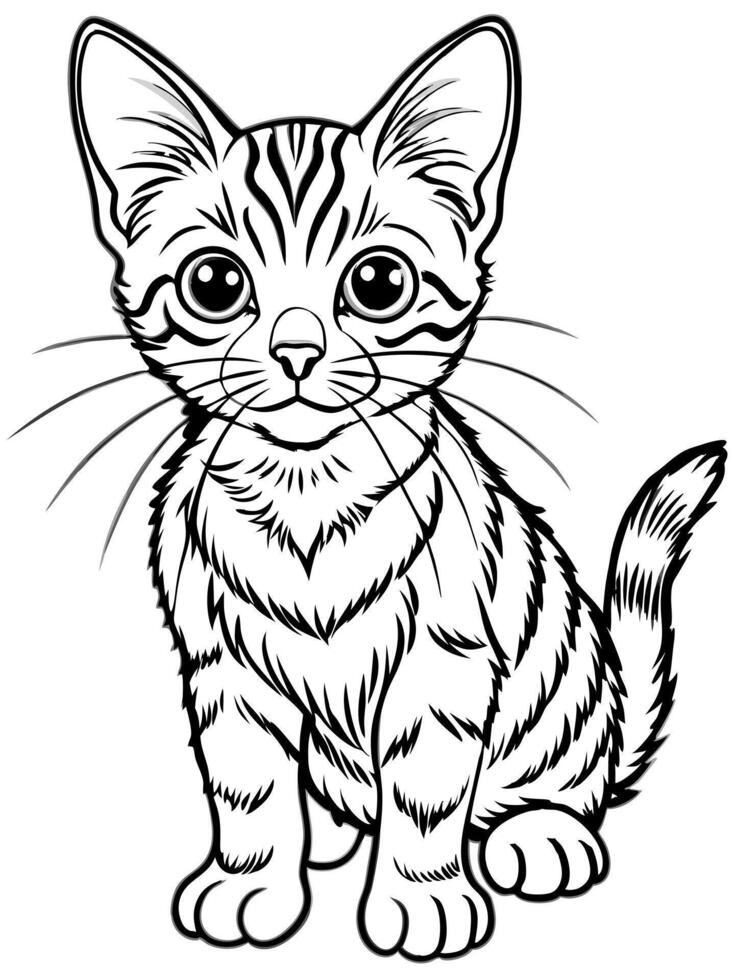 a balinese kitten, illustration line art vector