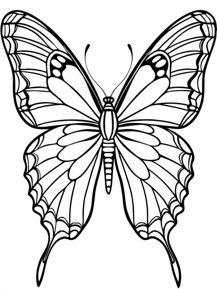 a butterfly, illustration line art vector