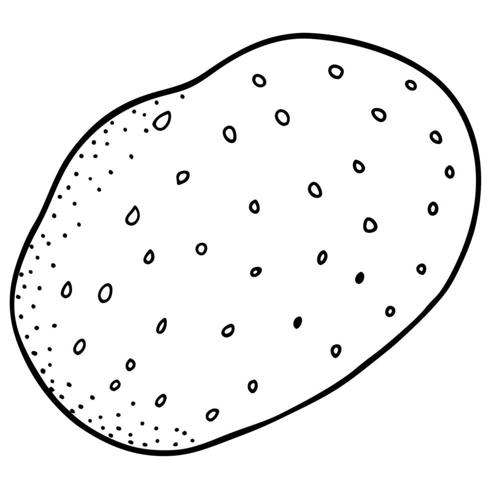 a simple potato with small dots for texture, illustration line art vector