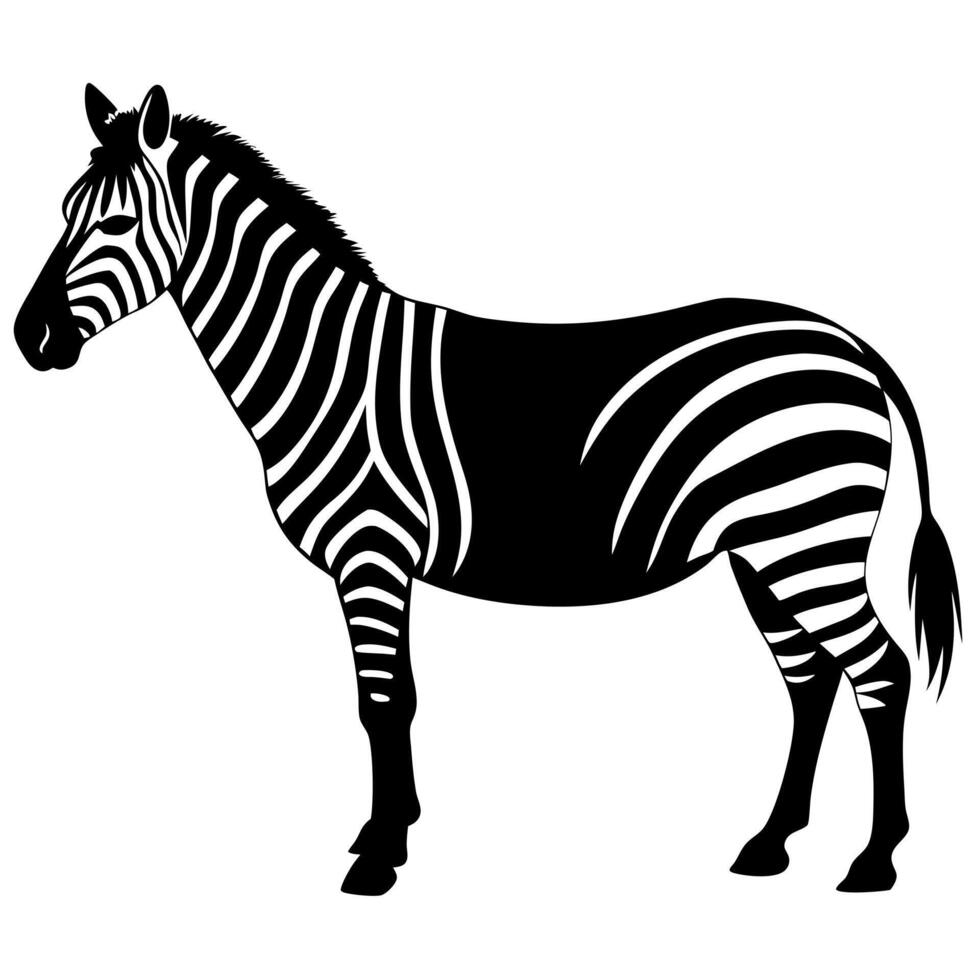 zebra silhouette with white background, illustration line art vector