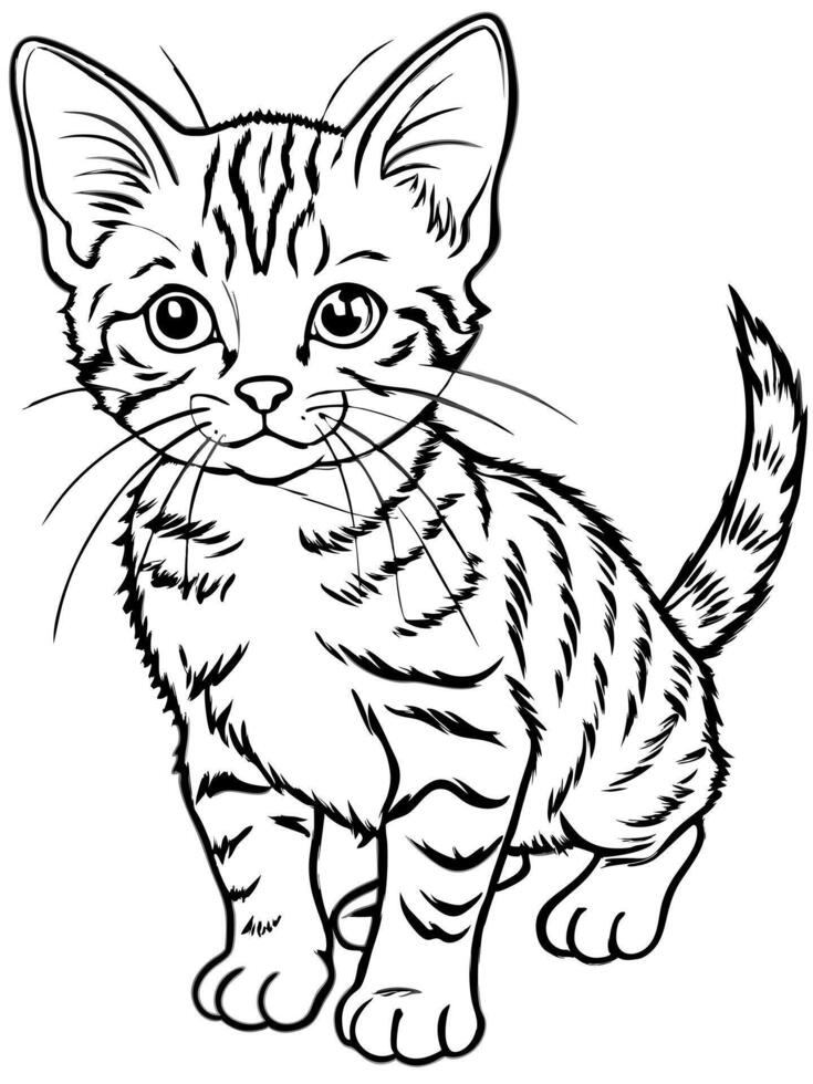 a manx kitten, illustration line art vector