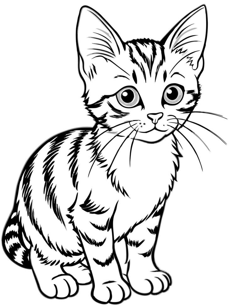 a calico kitten, illustration line art vector