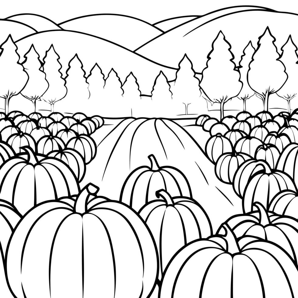 pumpkin field on a fall autumn morning, foggy mist, illustration line art vector