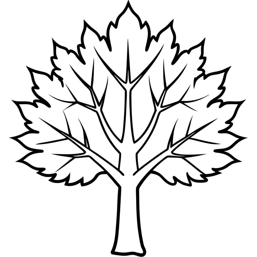 maple tree on white background, illustration line art vector