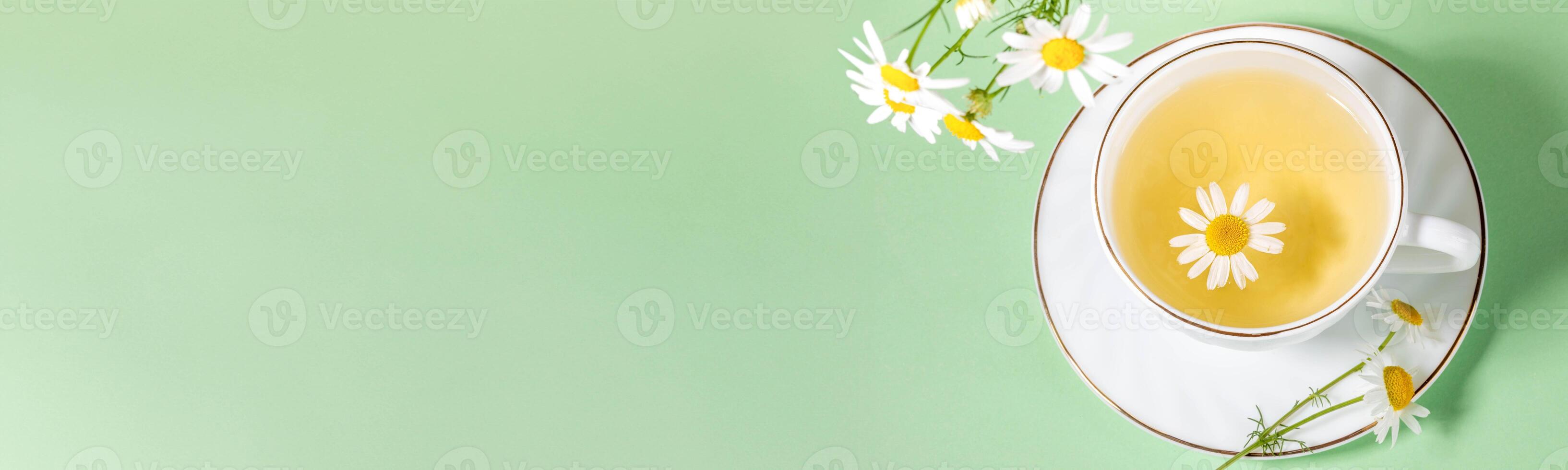 White cup of chamomile tea on saucer, chamomile flowers on light green. Top view. Banner. Copy space photo