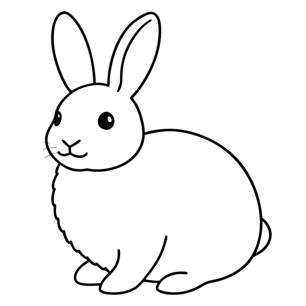fluffy rabbit, illustration line art vector