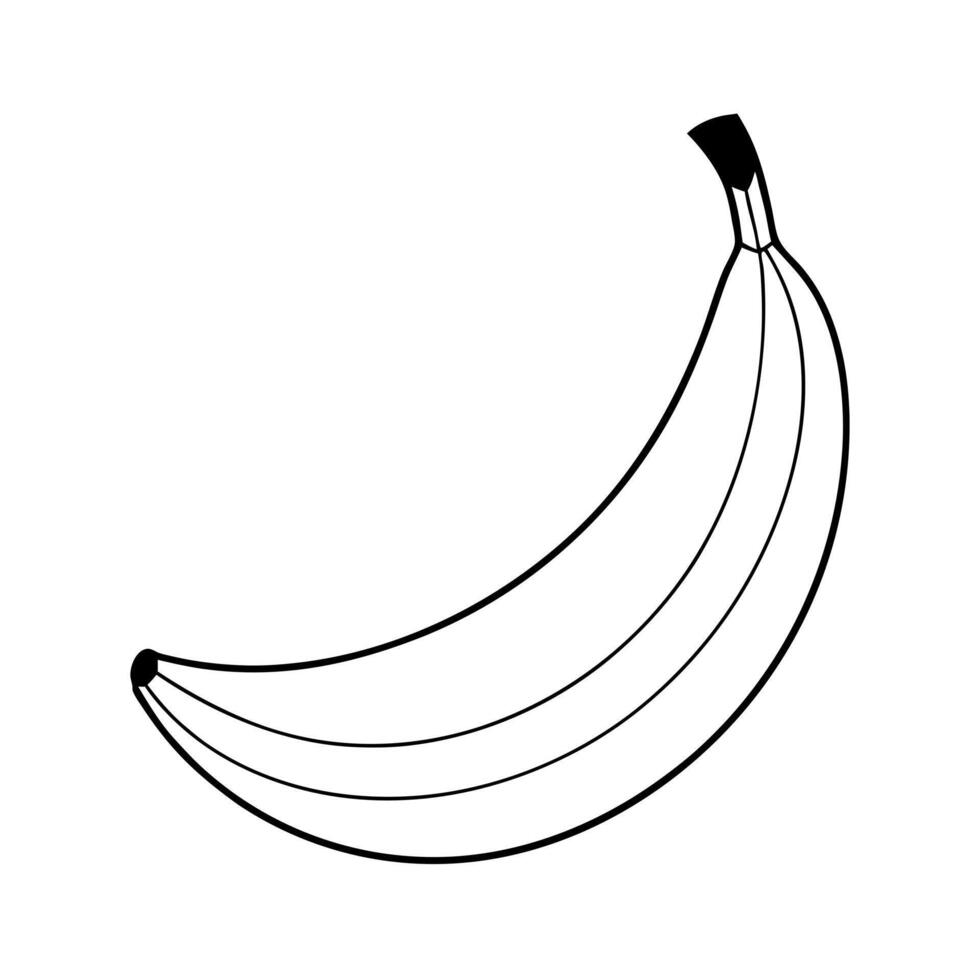 banana, illustration line art vector