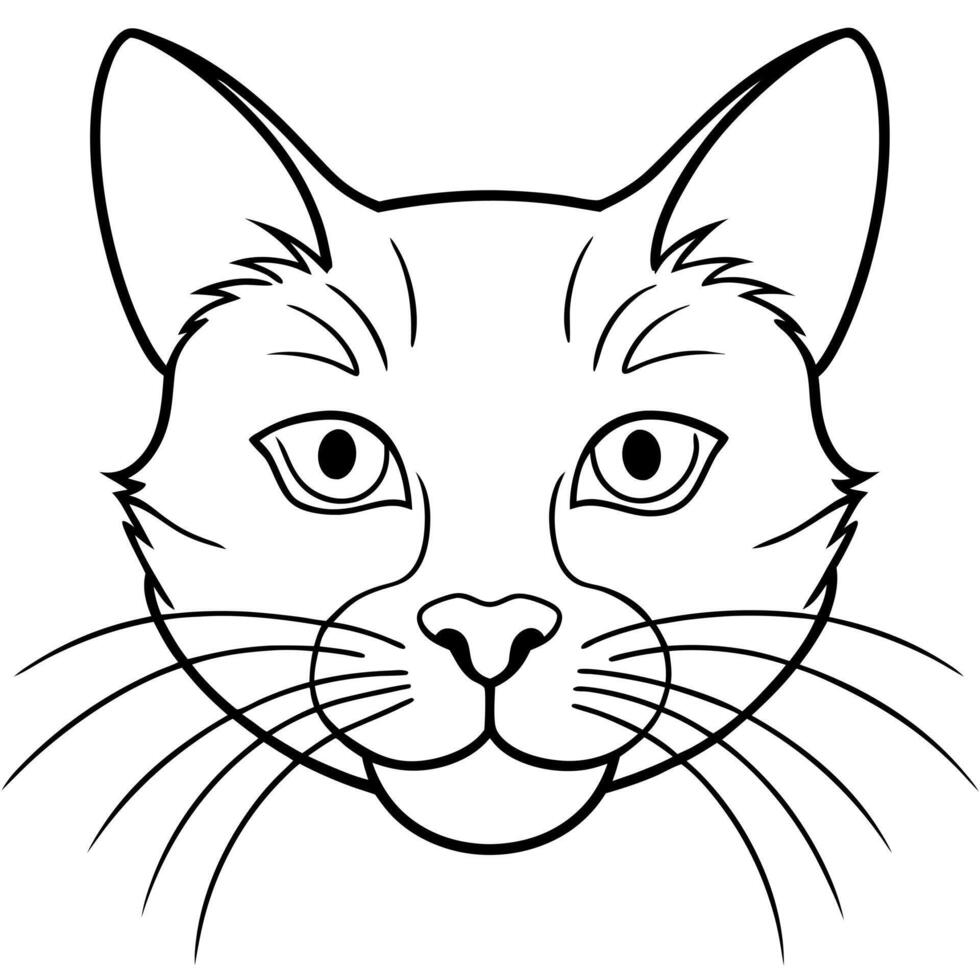 cat whiskers, illustration line art vector