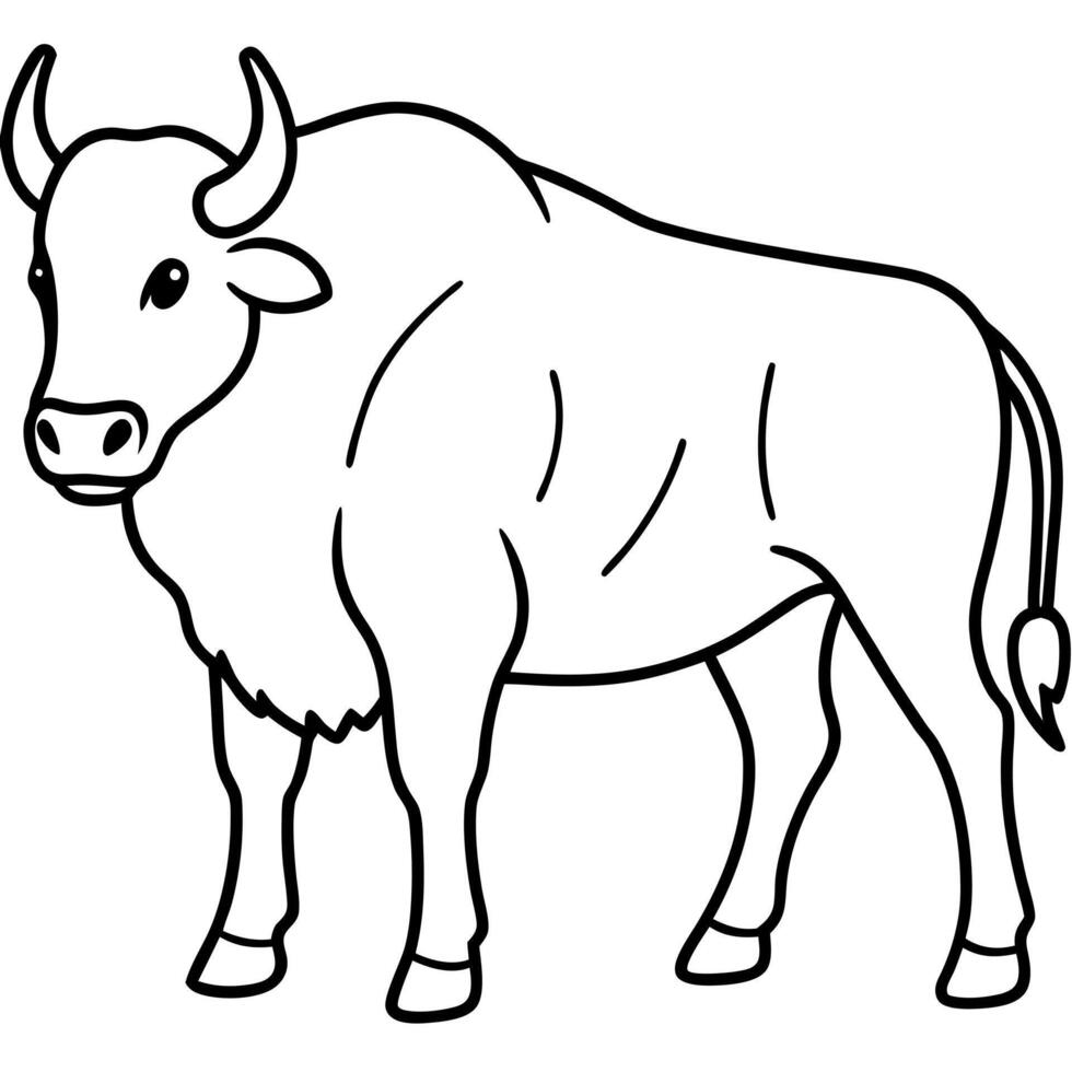 bison animal illustration, illustration line art vector