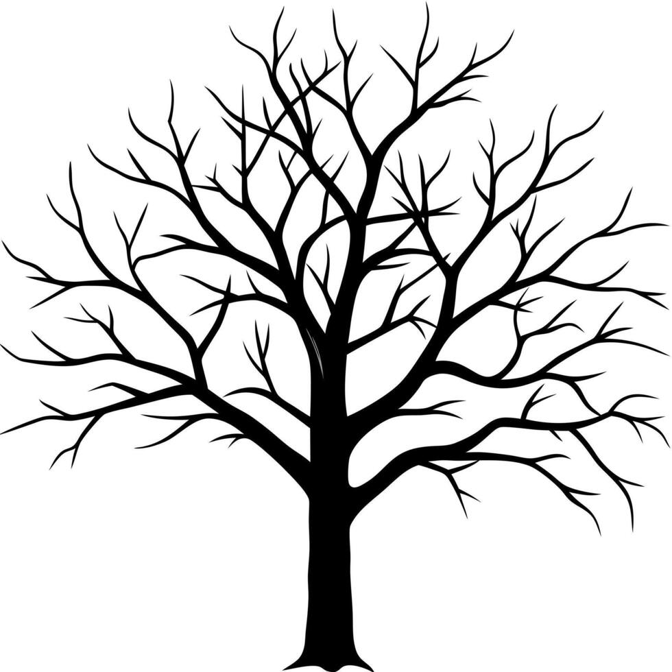 a tree without leaves against a white backdrop, creating a stark contrast, a dead tree for vector
