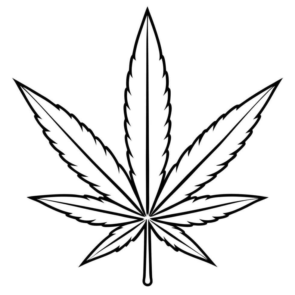 green cannabis leaf without background, illustration line art vector