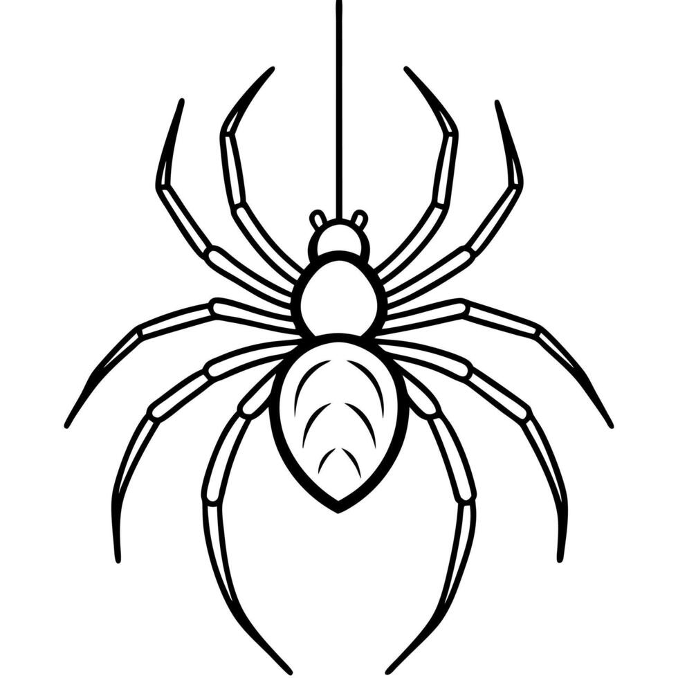 big spider hanging from a web, bold outlines with minimal web detail, illustration line art vector