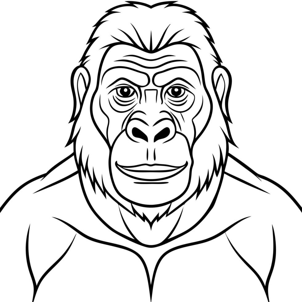 monkey portrait zoo primate gorilla male mammal nature animals face ape wildlife, vector