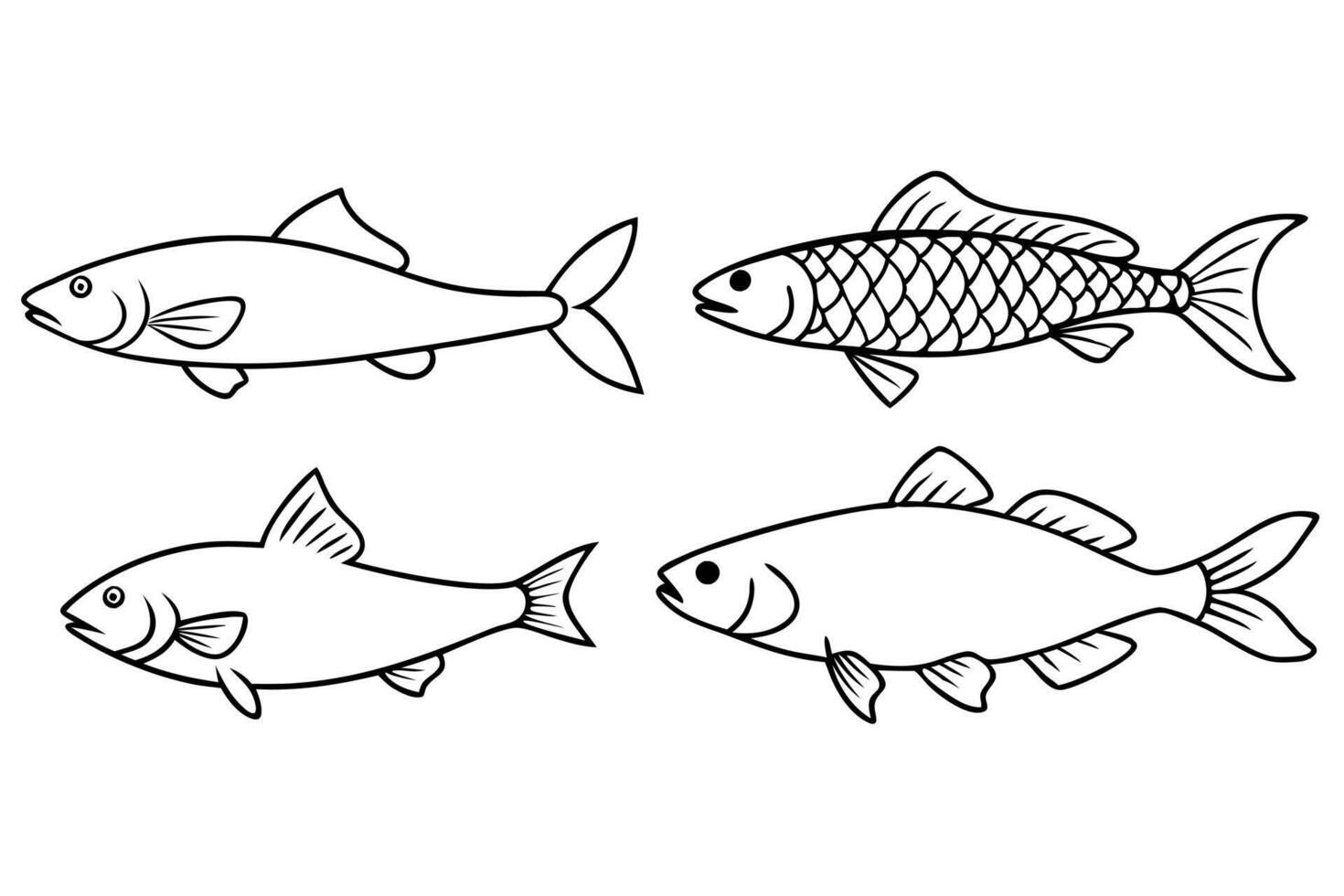 4 different fish hilsha , ruhu carp , cat fish grass line art silhouette on white vector
