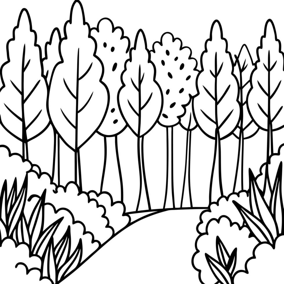 a path in a forest tall trees and bushes in the foreground, illustration line art vector