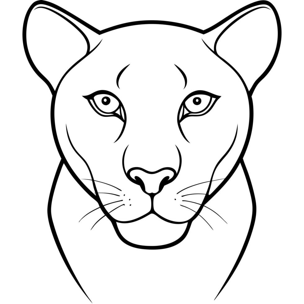 panther, illustration line art vector