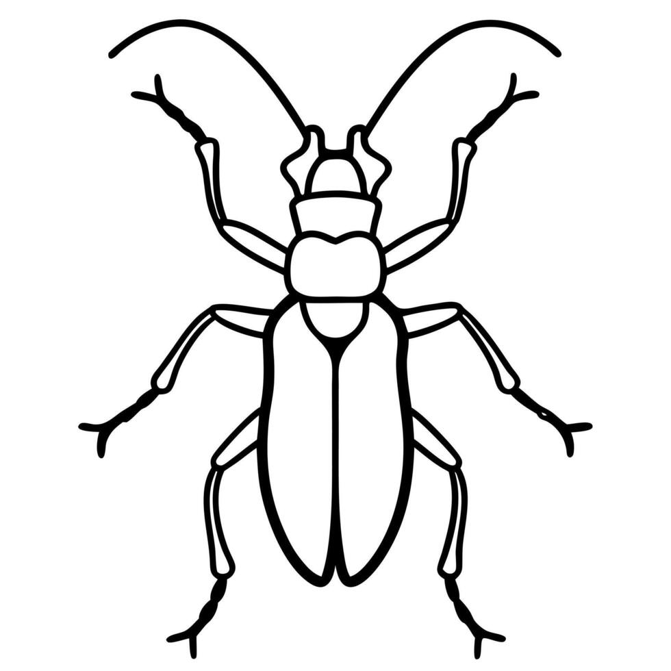 longhorn beetle cerambycidae, illustration line art vector