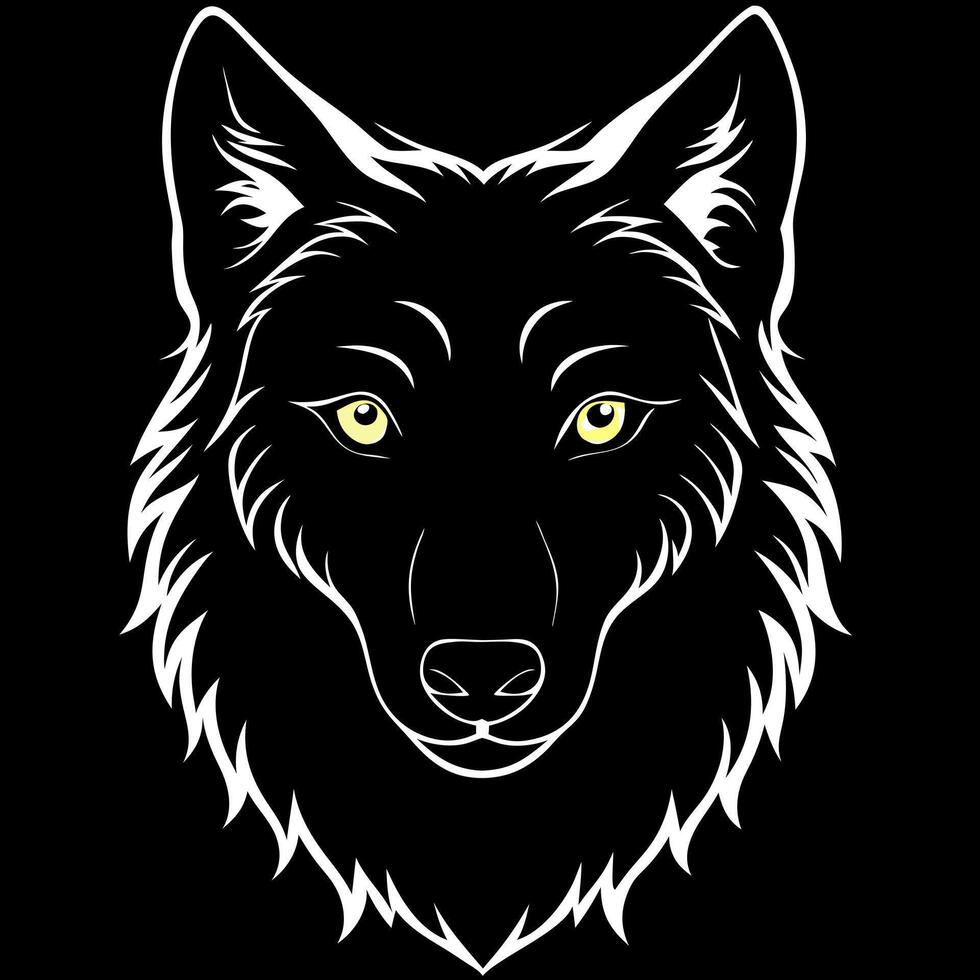 scary dark gray wolf canis lupus, direct eye contact in the dark looking at the camera on a black vector