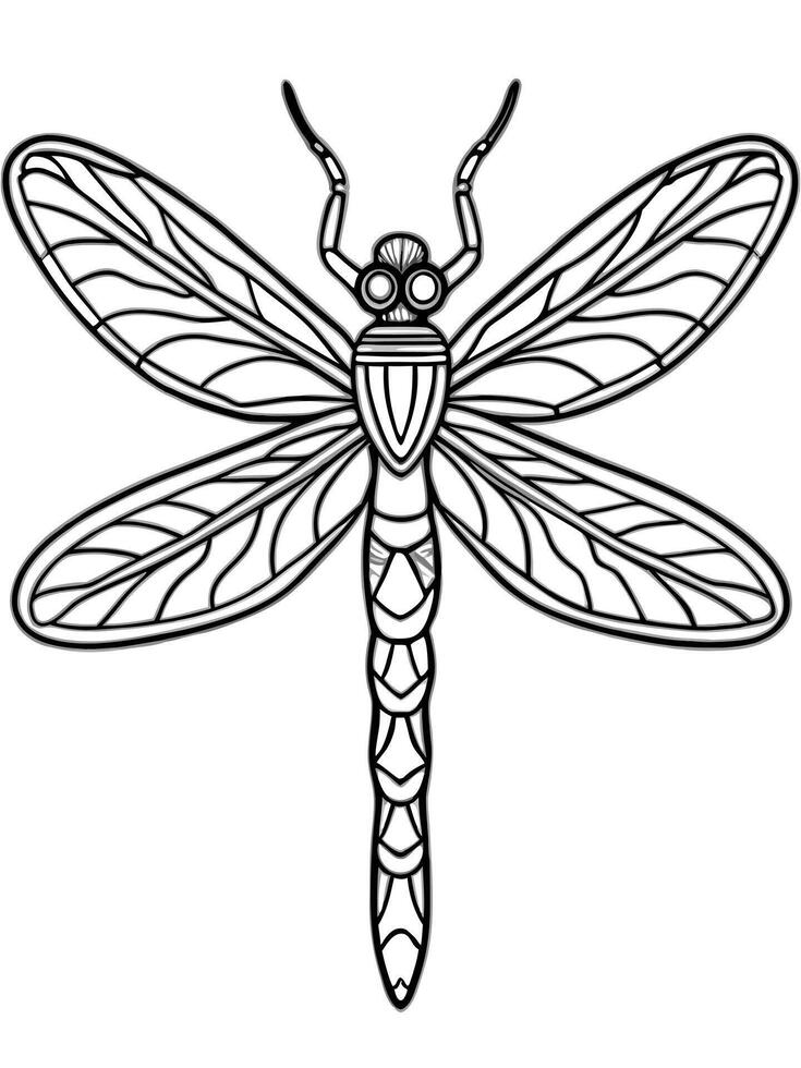 a dragonfly, illustration line art vector
