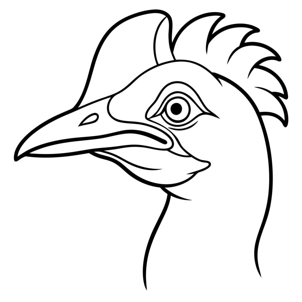 a cassowary head with white background, illustration line art vector